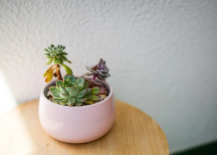 アパート Cantinho Do Mar ポルティマン